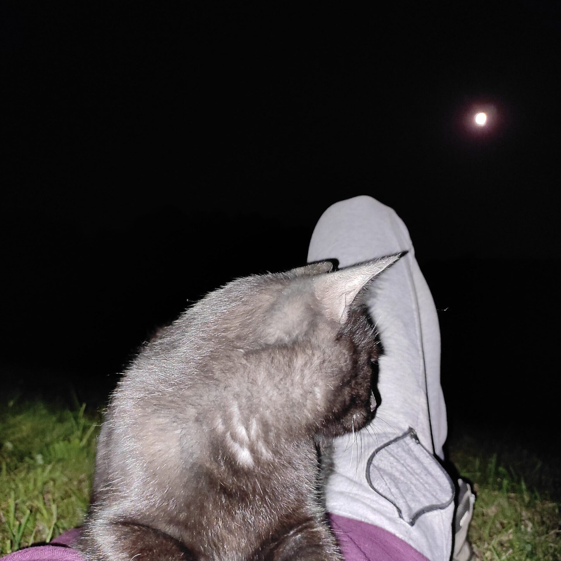 Catching some moon tan together with Pumek