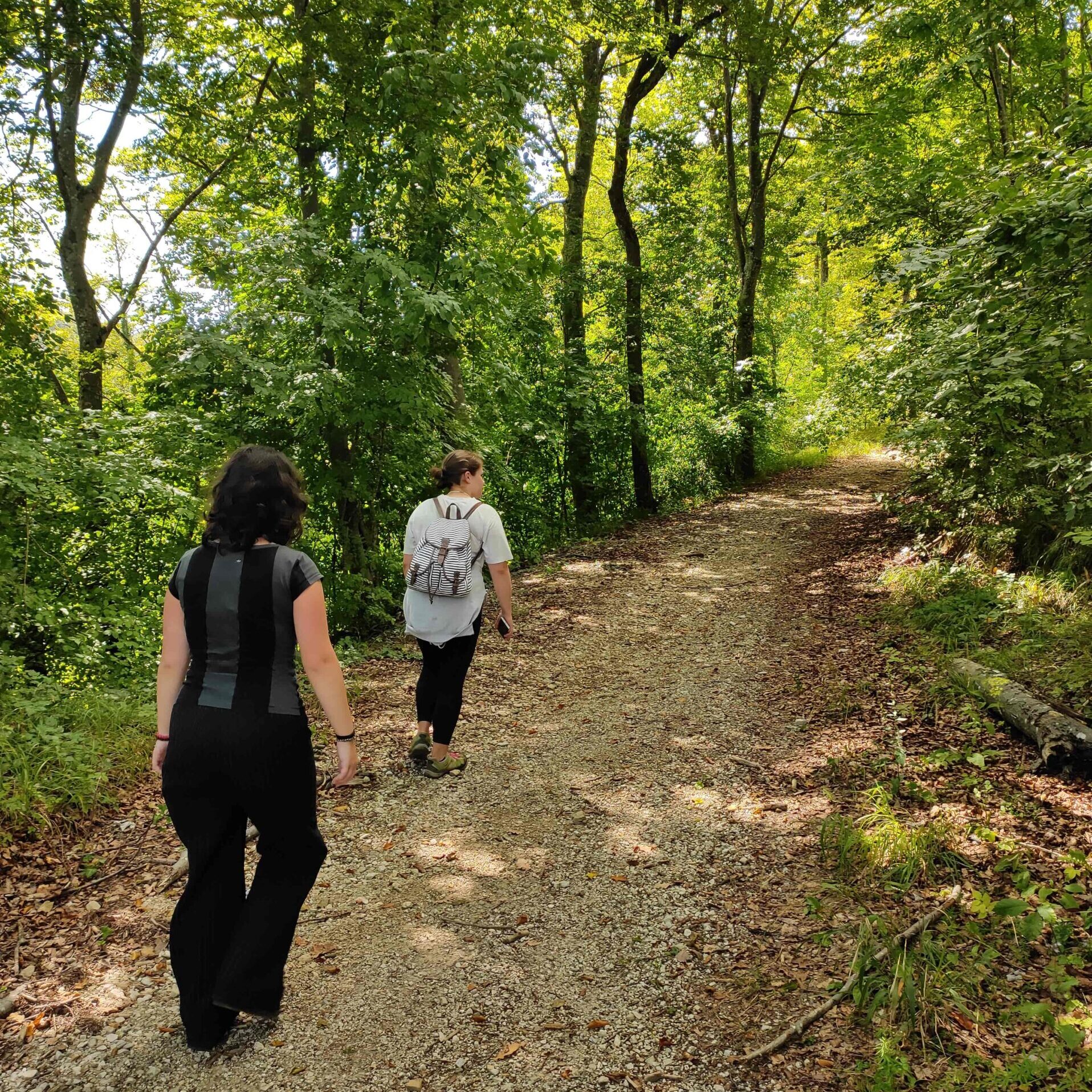 Exploring the nature around Veles