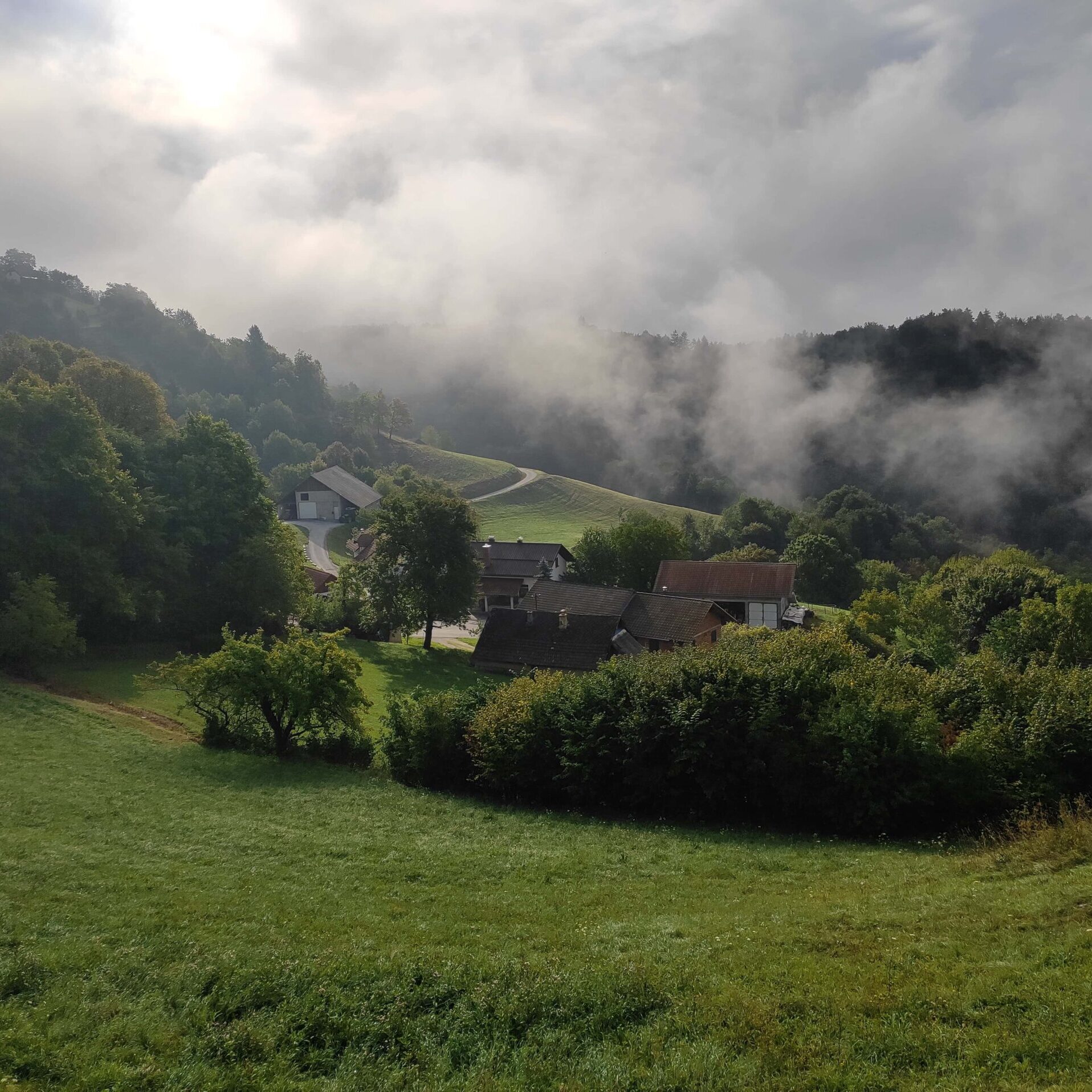 Morning views on the farm