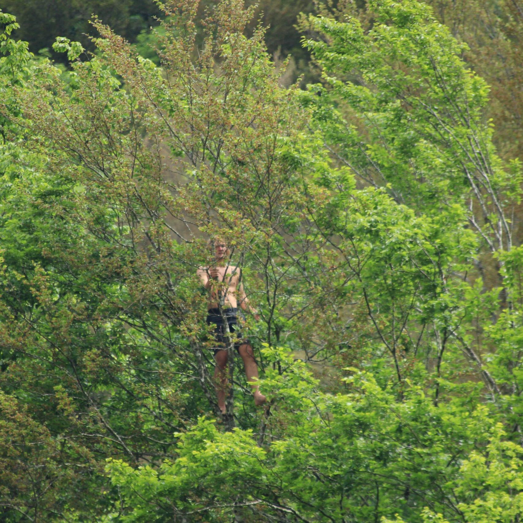 Tarzaning on the trees