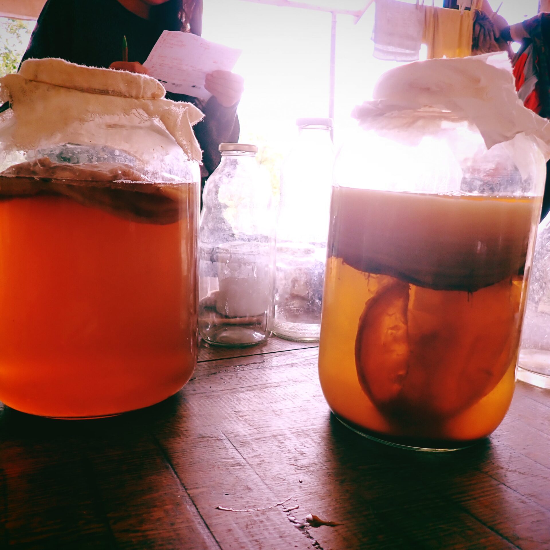 The legendary Veles kombucha