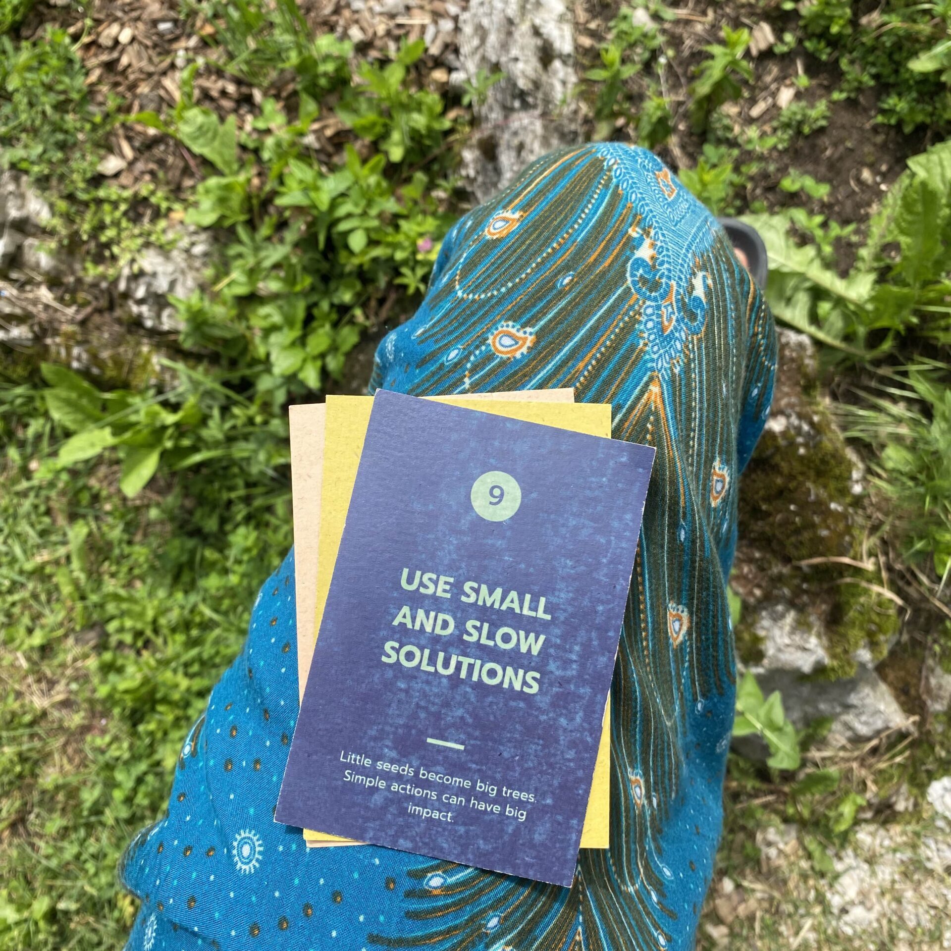 Permaculture principle 9: Use small and slow solutions