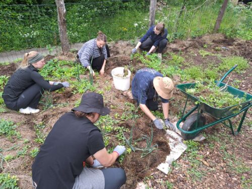 Volunteers seeding plants
